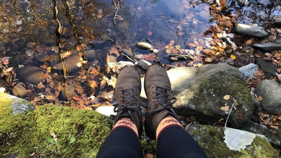 10 after Thanksgiving hikes in East Tennessee