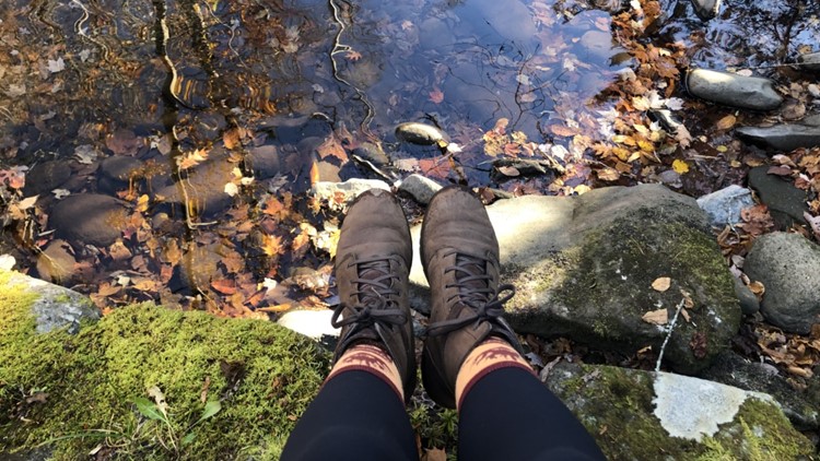 10 post-Thanksgiving hikes to try in East Tennessee