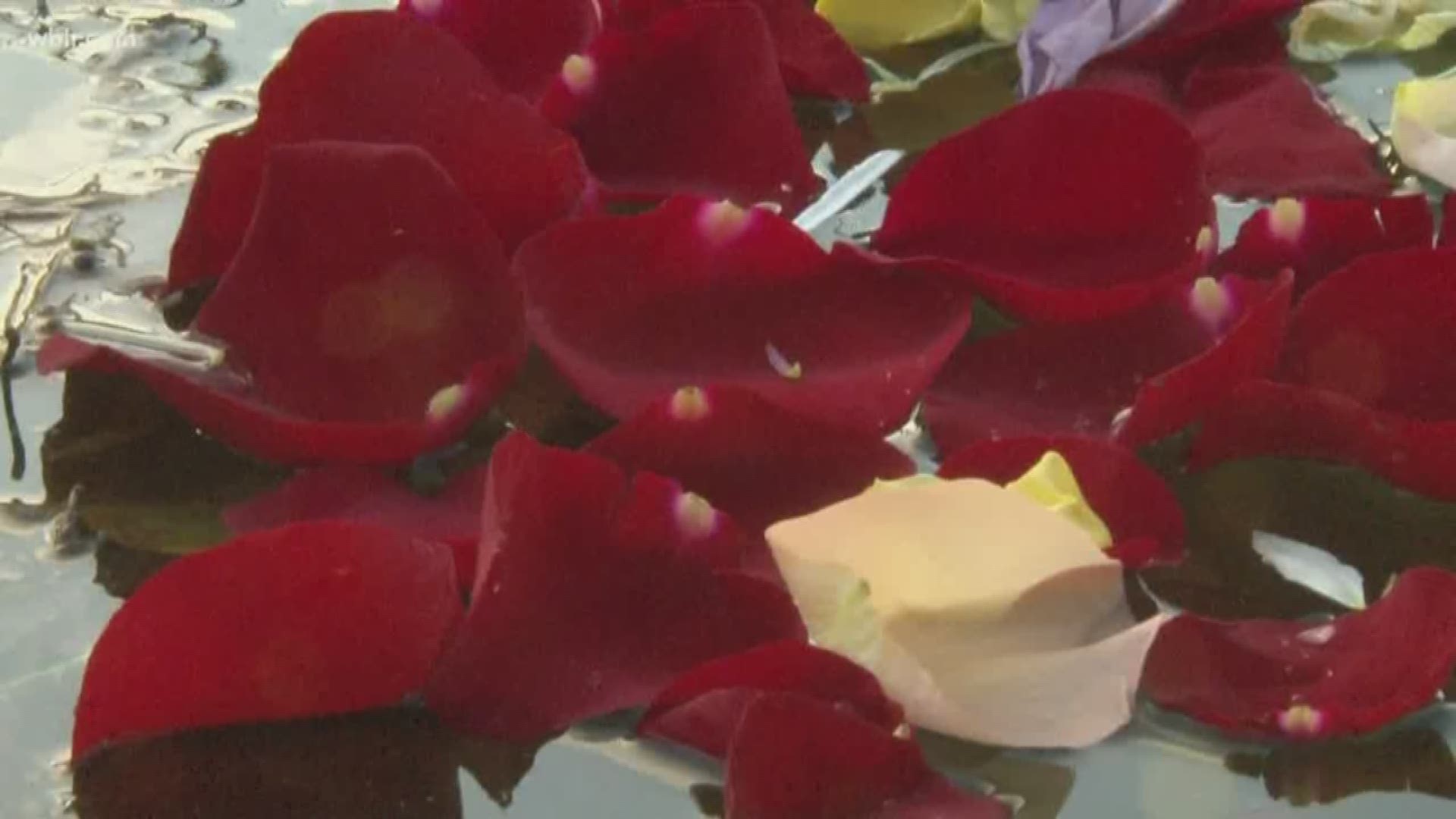 October is Domestic Violence Awareness Month. Knoxville's Helen Ross McNabb Center had its first Flowers on the Water event to start the conversation.