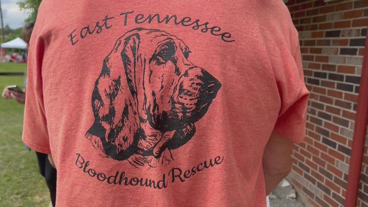 Bloodhound Sanctuary hosts Spring Craft Fair