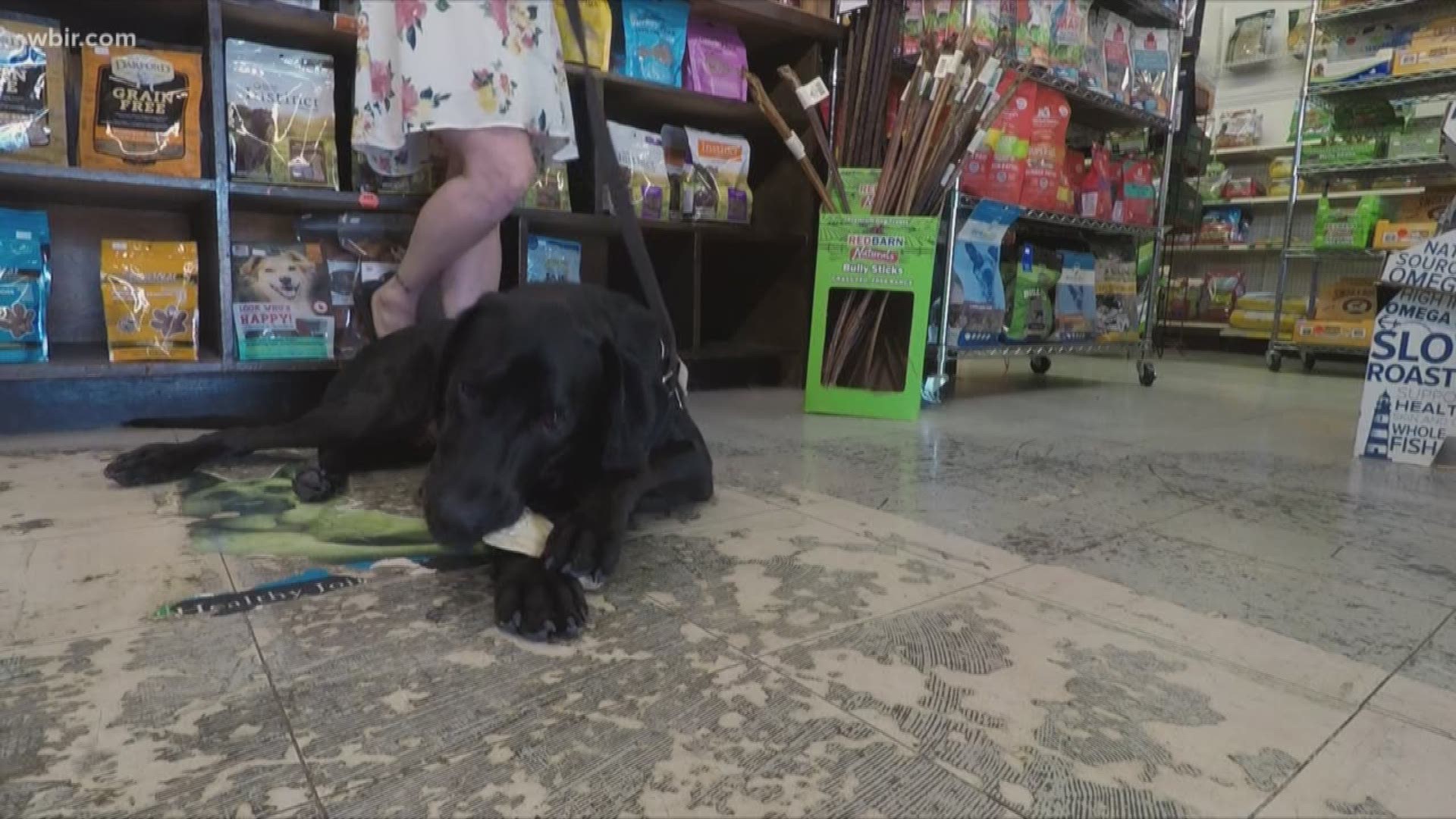 Since starting to offer CBD oil and treats this spring, Smoky Mountain Feed and Pet Supply in Alcoa has seen sales triple..