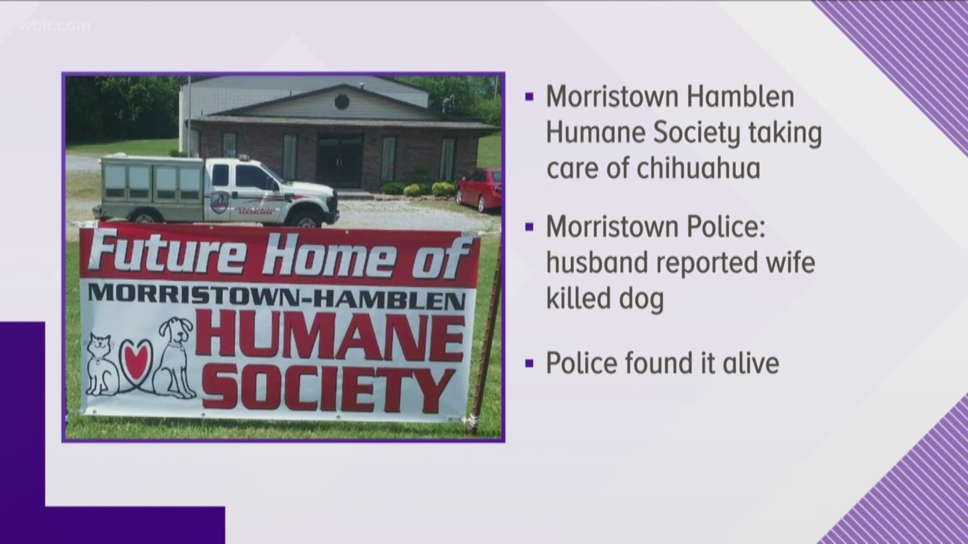 The couple was arrested and charged with animal cruelty after a Chihuahua  was found badly hurt in a garbage bag.