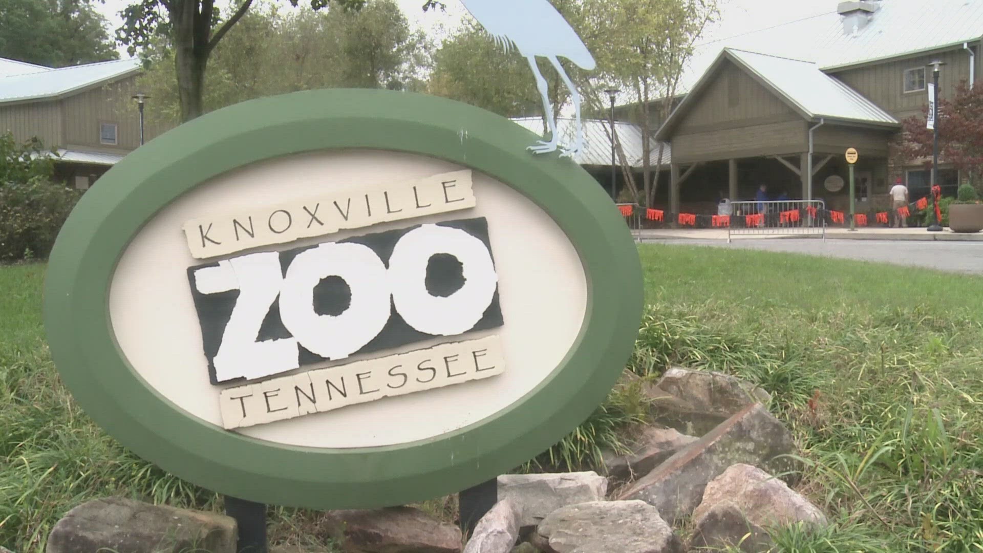 A viewer asked whether Zoo Knoxville's splash pads recently tested positive for a rare parasite.