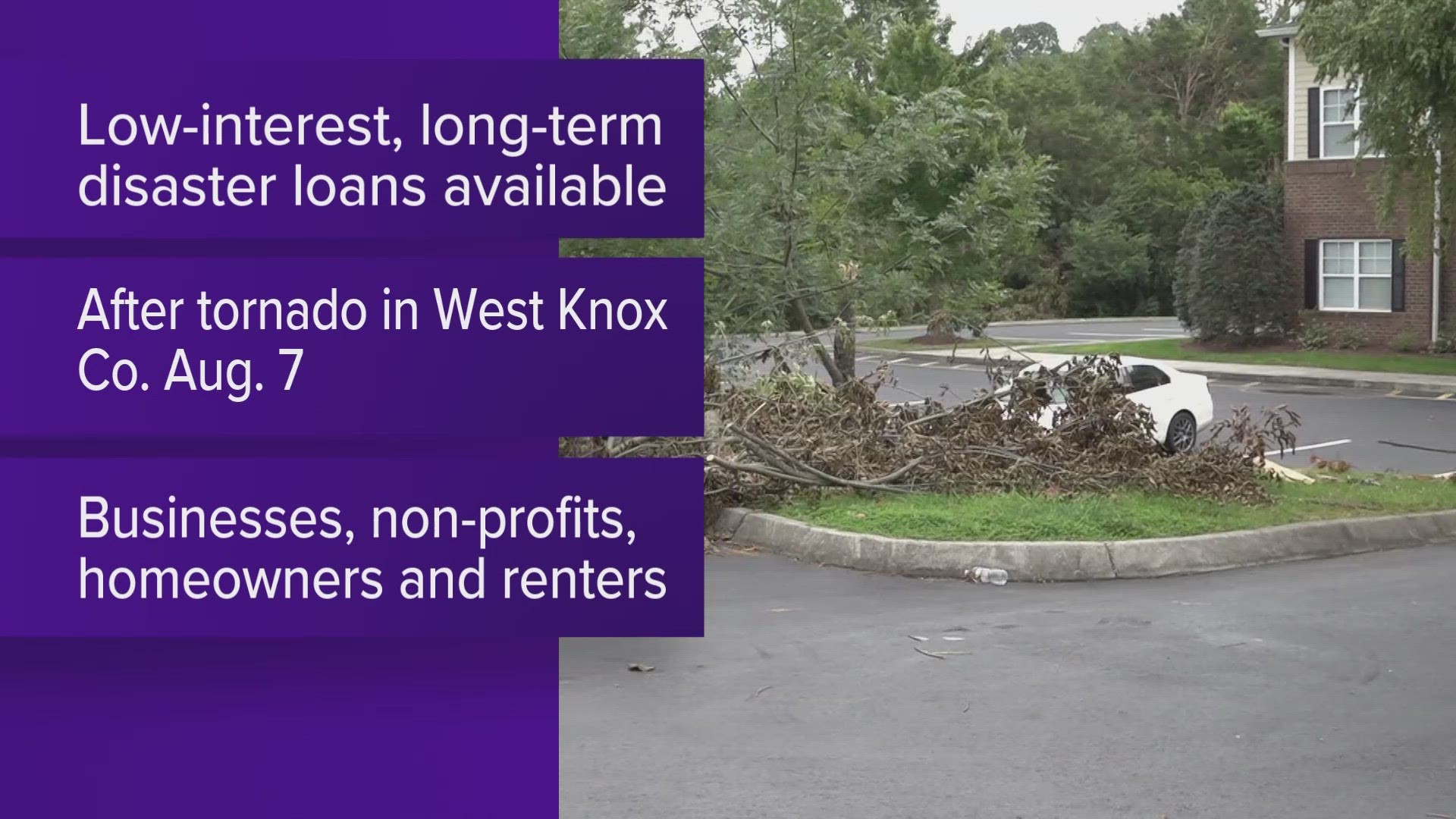 The loans are available after a disaster declaration that included Anderson, Blount, Grainger, Jefferson, Knox, Loudon, Roane, Sevier and Union counties.