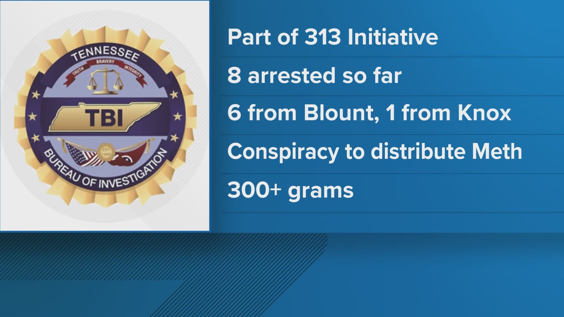 The 313 Initiative is focused on identifying groups of people from the Detroit area who are bringing deadly drug combinations to East Tennessee, the TBI said.