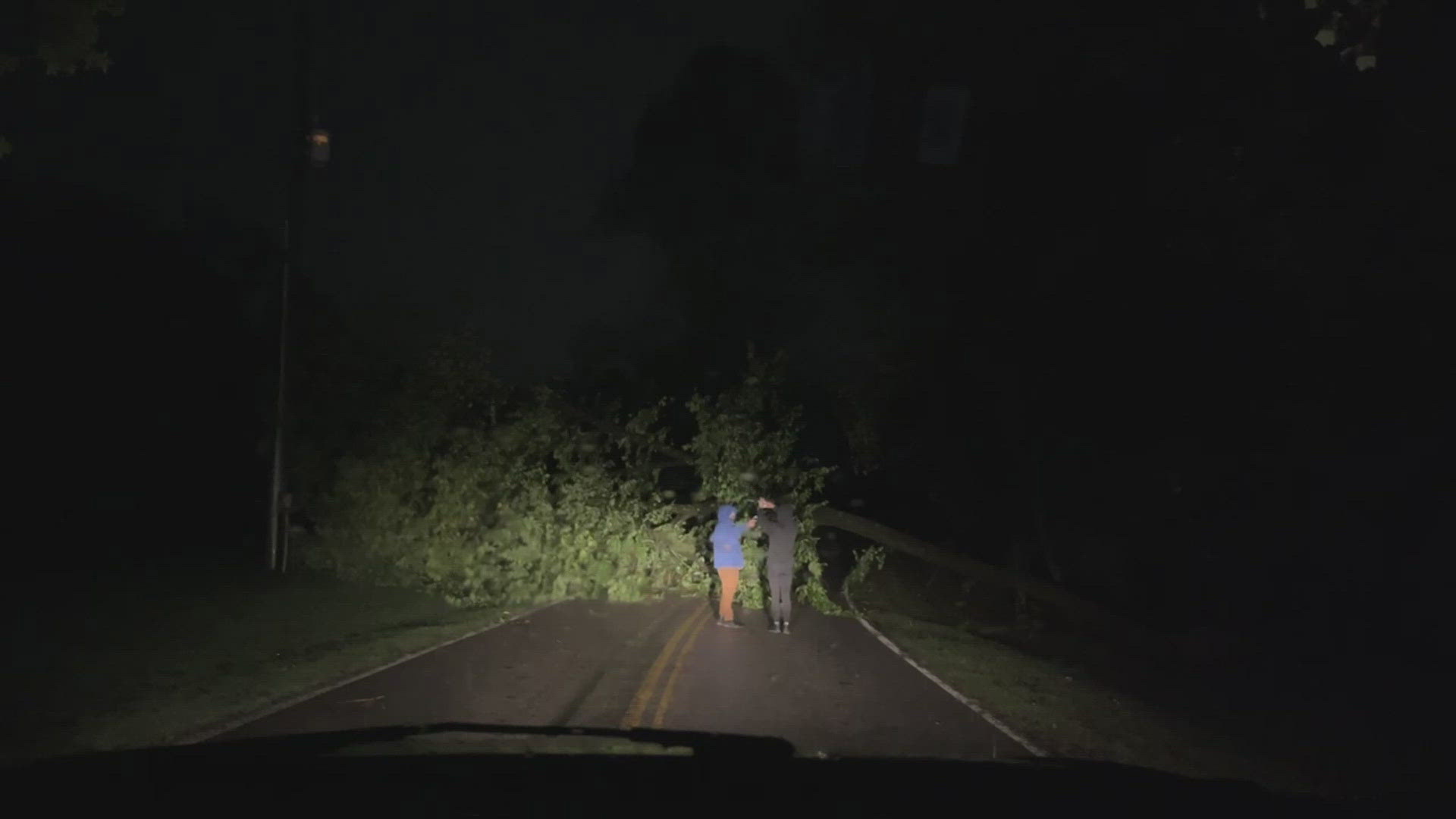 Here's a look at a large tree that was knocked down on Rudder Street in Knox County.