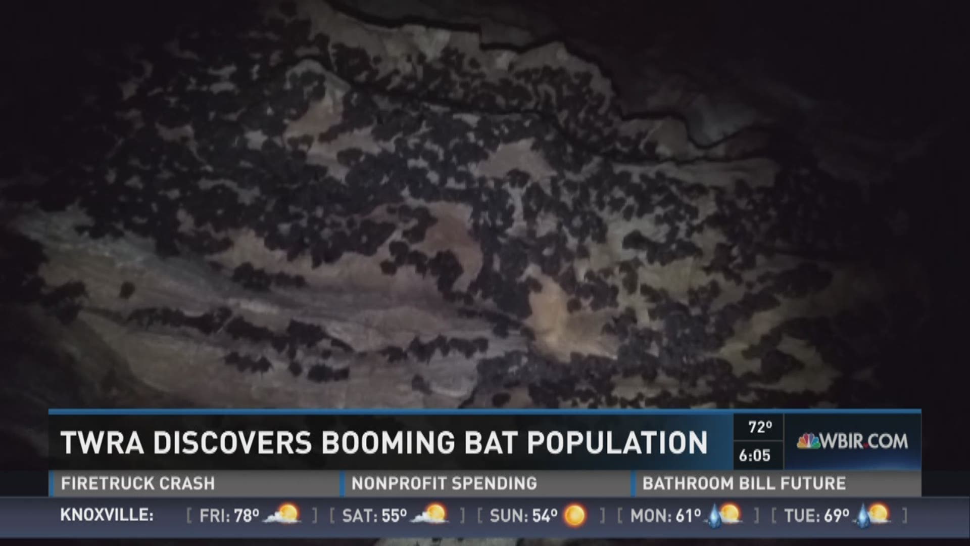 Feb. 23, 2017: Are endangered bats bouncing back? That's the question state officials have after discovering a huge increase in the Gray bats population in a Cocke County cave.