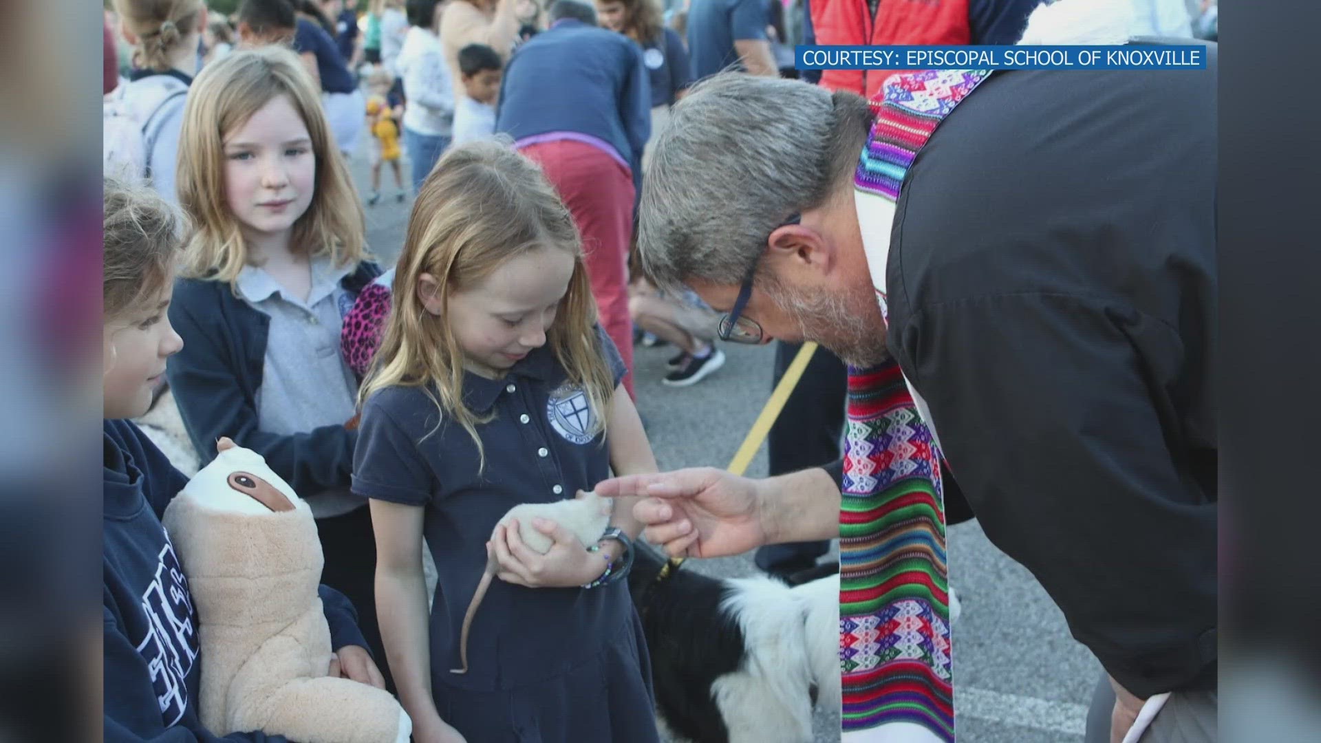 From dogs to cats to a horse to a chicken, many animals were blessed by the clergy.