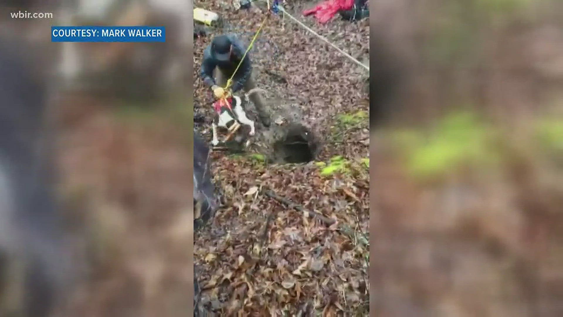Crews helped rescue a Coonhound dog from a pit near Norris, Tenn. on Saturday.
