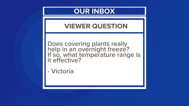 Weather Wednesday: Does covering plants work in frost or freeze conditions?