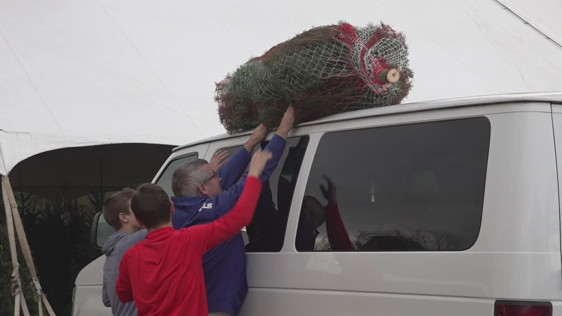 Bluebird Christmas Tree Farm is donating a portion of its proceeds from 800 Fraser firs to support North Carolina farms devastated by Hurricane Helene.