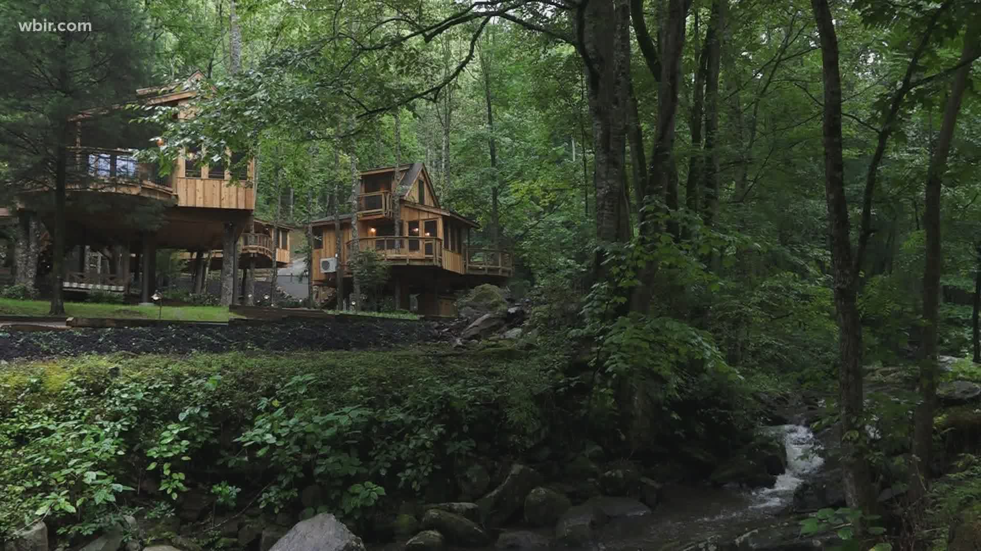 There's a new luxury treehouse resort near Gatlinburg that opened this past spring. The owners say they've been booked with guests looking for vacations.