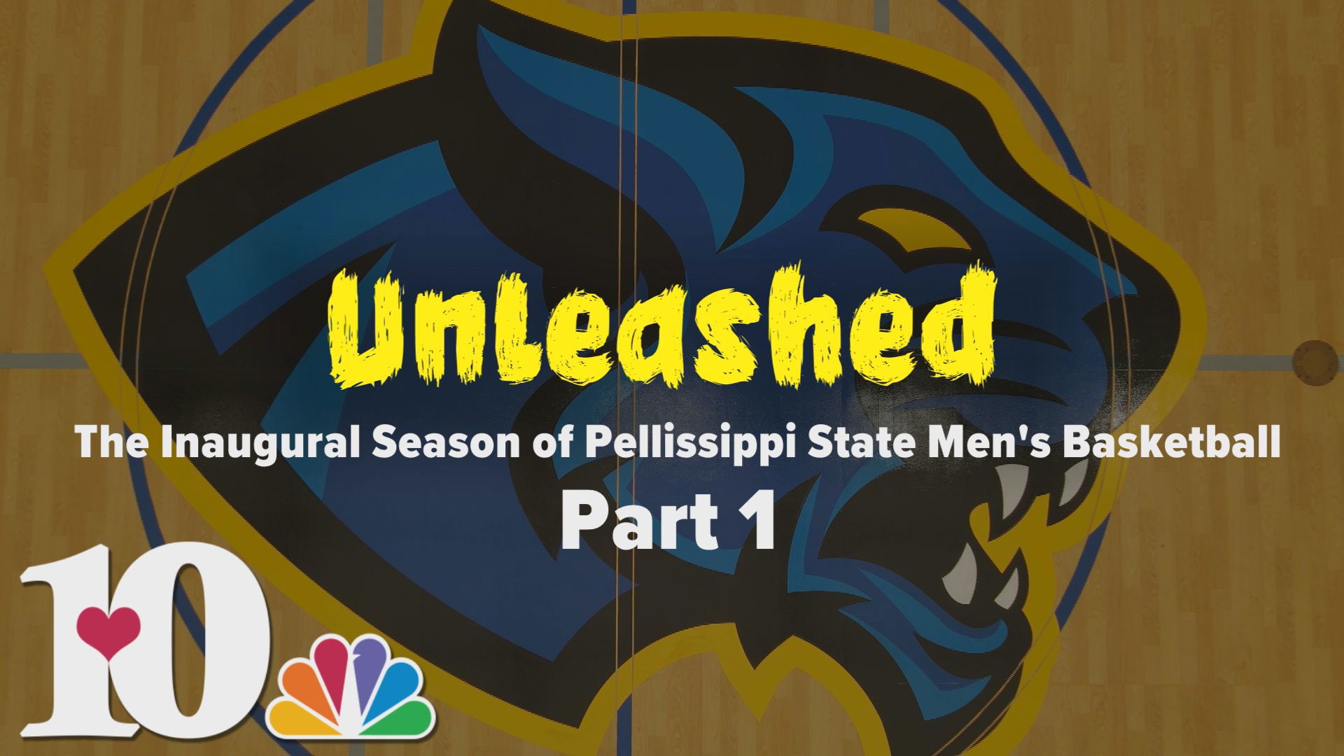 We take you behind the scenes of the inaugural year of the Pellissippi State Panthers men's basketball team in this documentary series.