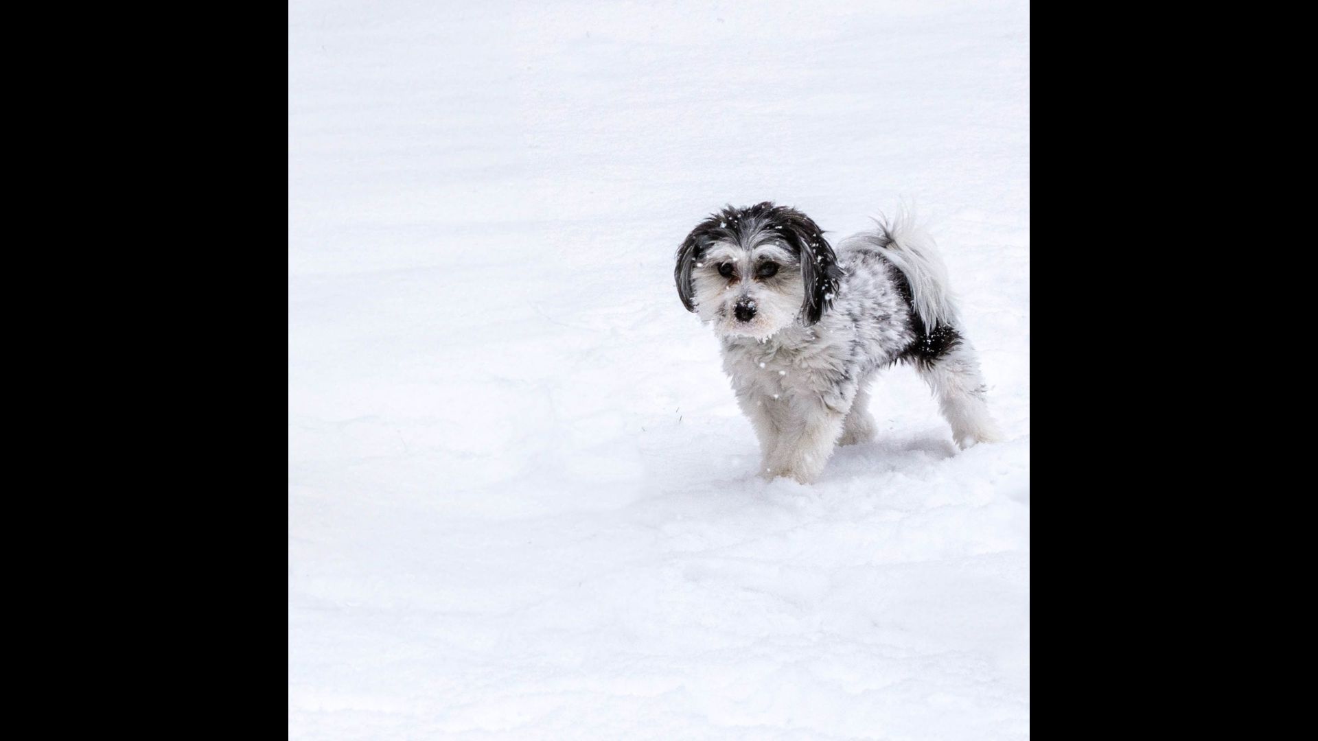 East Tennessee school closings for Thursday, Jan. 18 due to snow