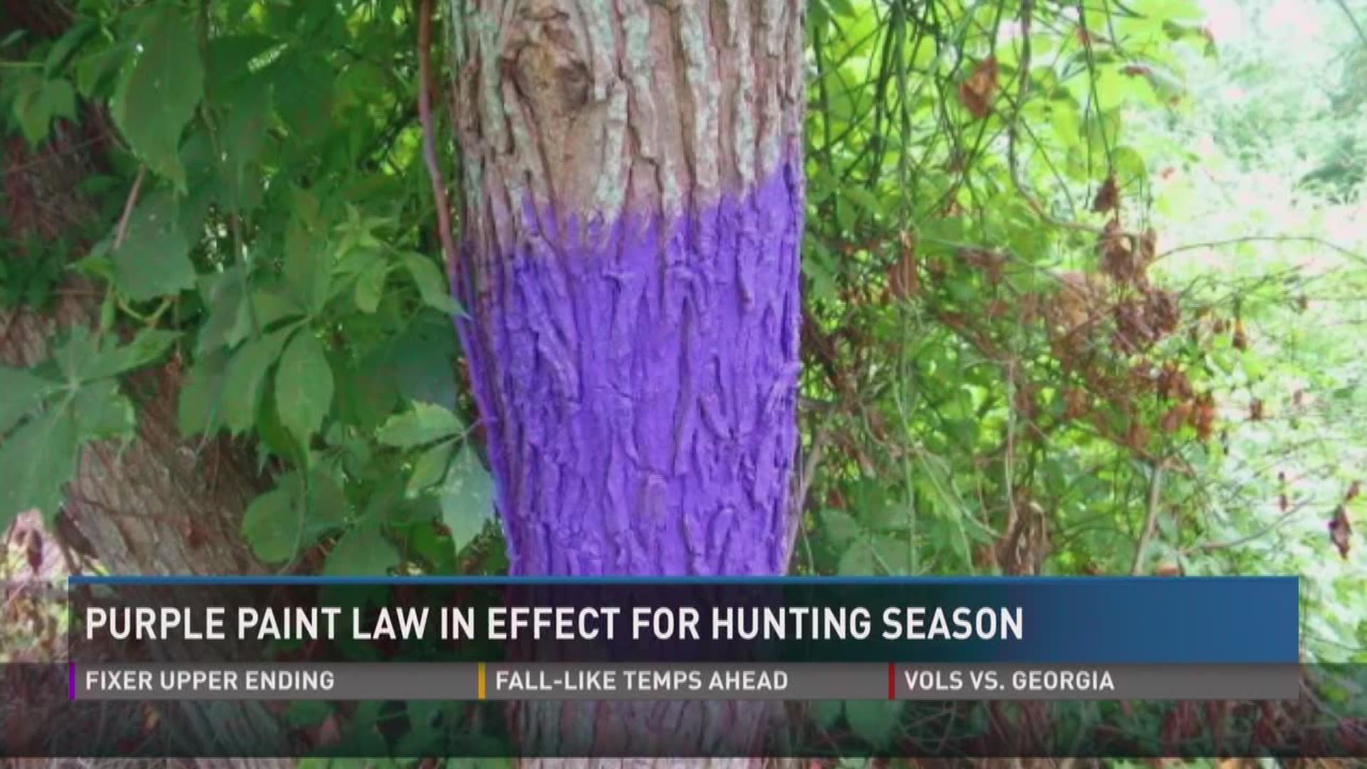 The purple paint law is in effect for this hunting season. Trespassing is a Class C Misdemeanor in the State of Tennessee which can result in a $50 dollar fine or up to 30 days in jail.