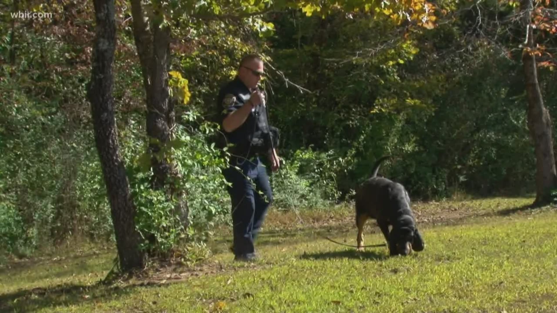 We're hearing from the handler of a K-9 who helped track down a missing man with Alzheimer's in Blount County.