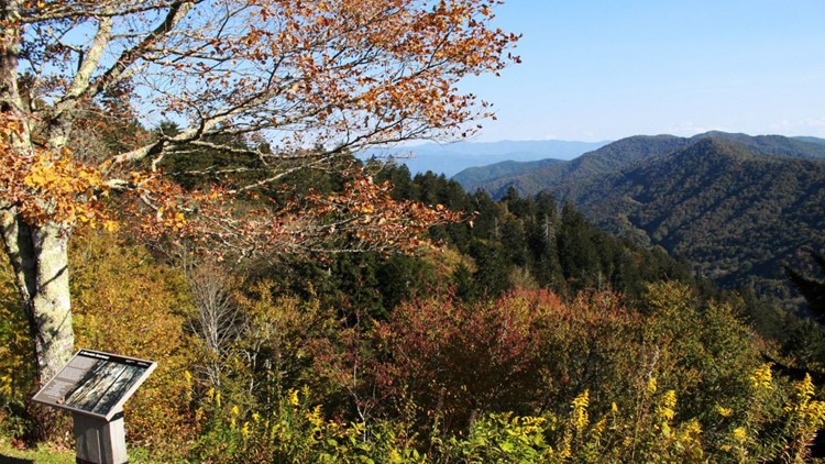 2021 was busiest year on record for Great Smoky Mountains with 14.1 million visits