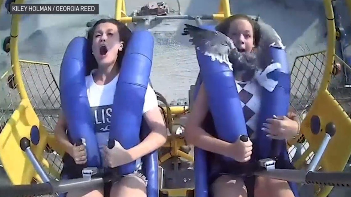 Duck! Seagull flies into teen's face as she's riding a Jersey Shore ...