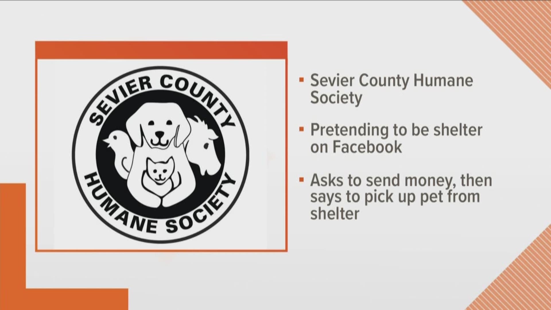 The shelter says the person is asking people to send money upfront for pets then telling them to pick up the animal at the shelter.