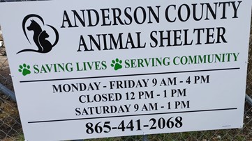 Anderson County names new animal control director