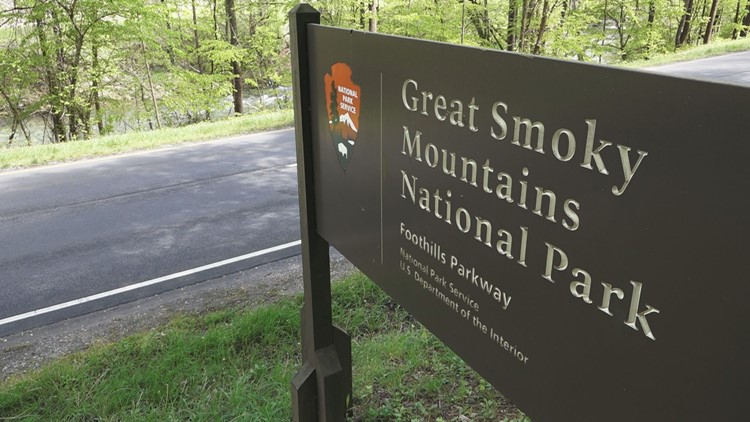 DOJ: Ohio man sentenced to 65 months in prison after 2021 crash in Great Smoky Mountains