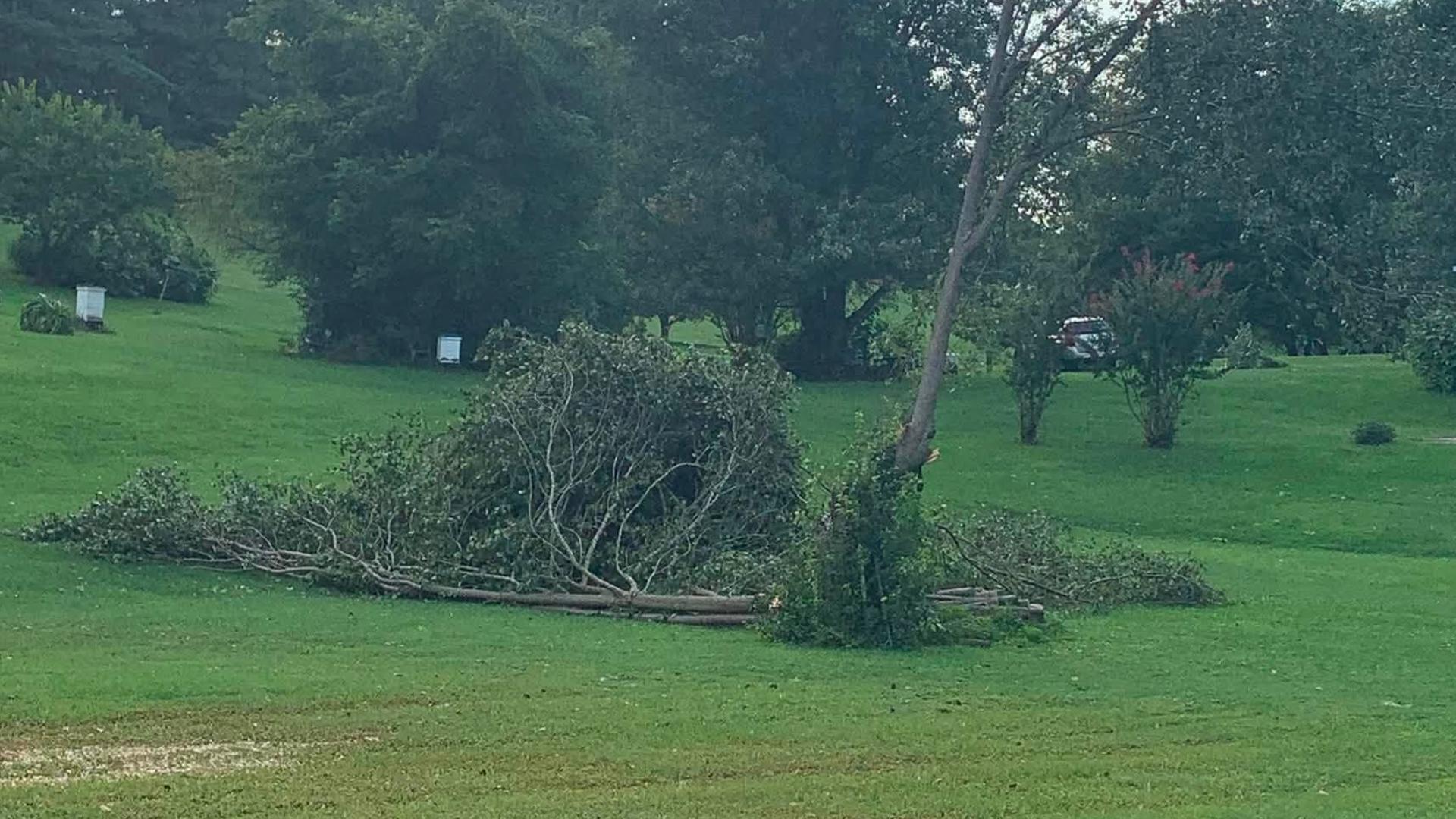 Moderate Rear Damage Up to 10 homes damaged after strong winds in Morristown, NWS says ...