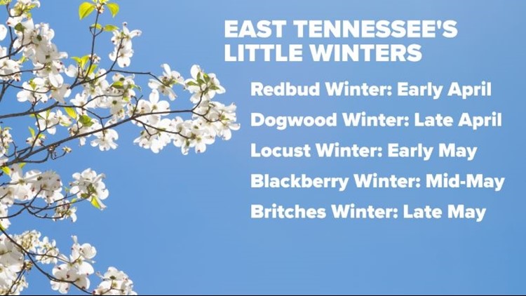 Redbud Winter: Patchy frost and freezing temperatures expected tonight