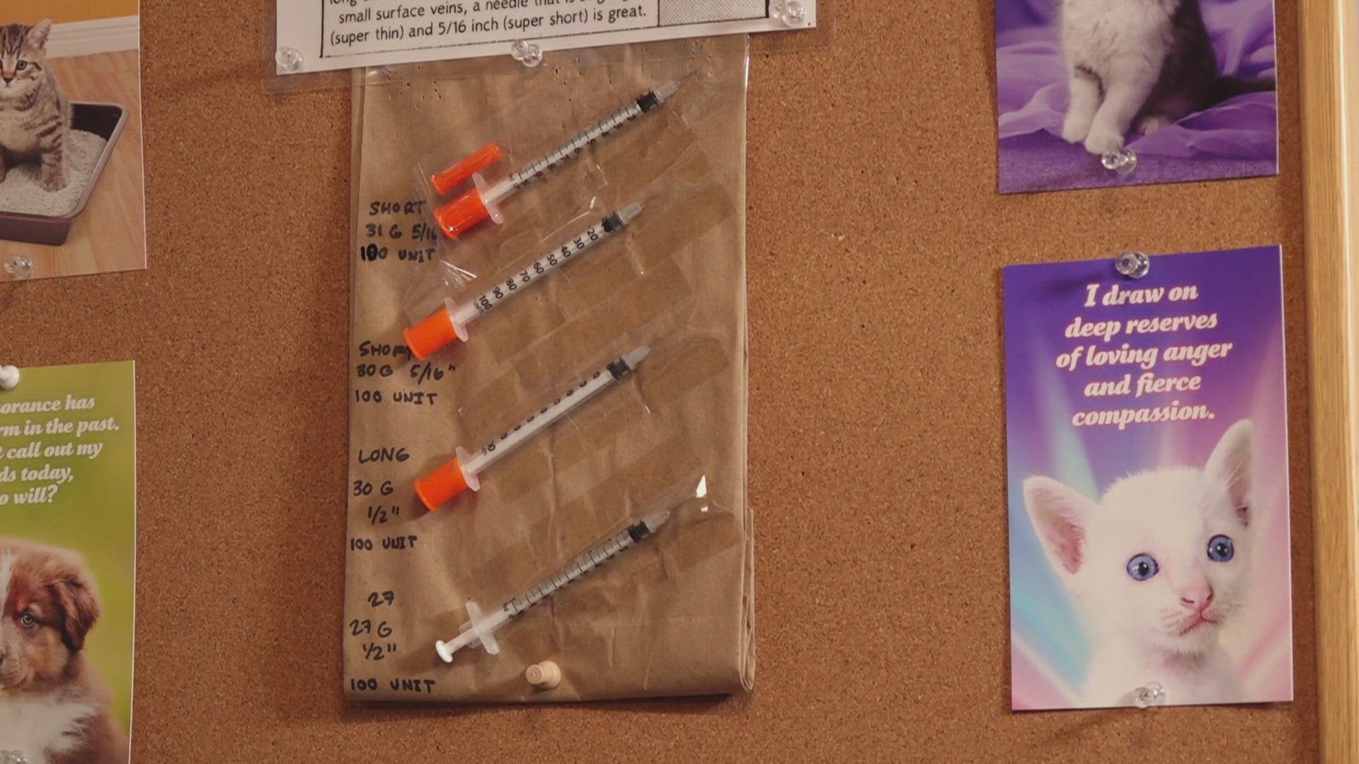 With a syringe service program, those struggling with addiction can trade out their dirty needles for clean ones.