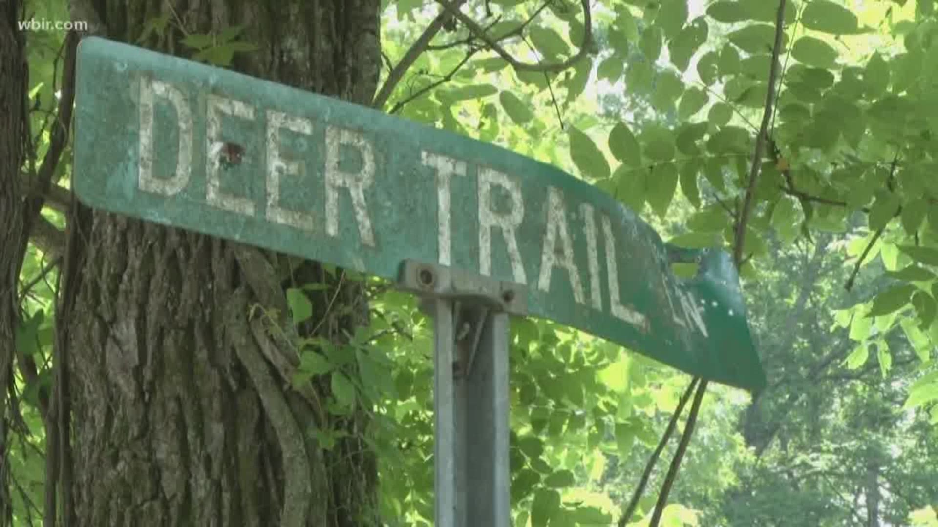A Union County woman is begging for help to fix a road in Union County. Deer Trail Road in Sharps Chapel is so bad that it's unsafe for an ambulance to travel on it.