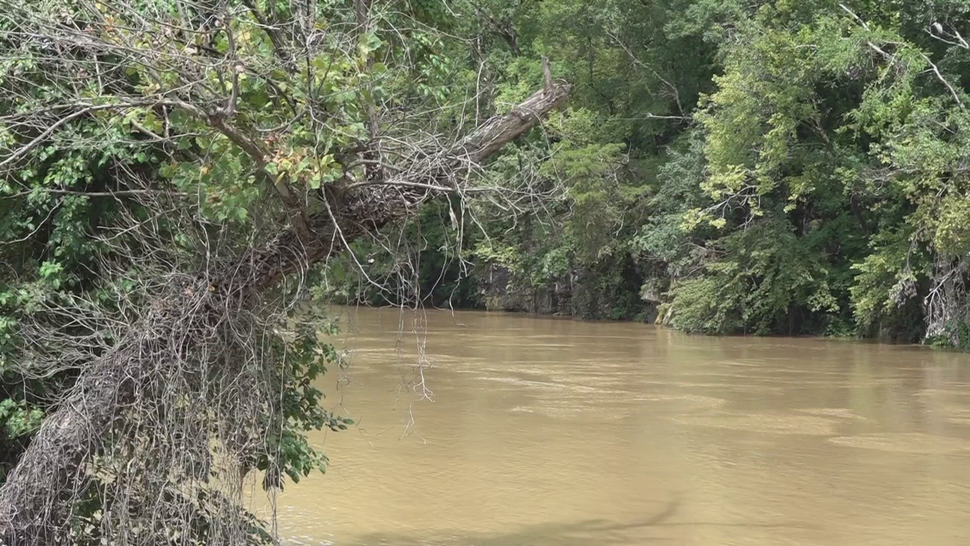 According to TWRA, wildlife officers reported a high number of dead fish on Friday on the Pigeon River from Edwina Bridge down to the Newport police station.