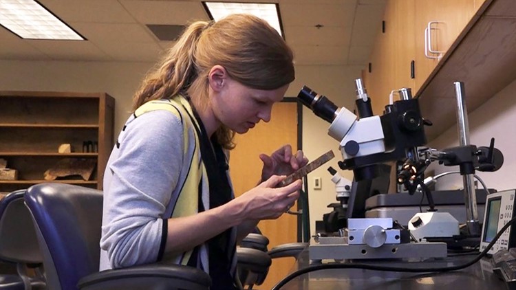 Laura Smith Ph.D. student University of Tennessee tree rings sitting microscope