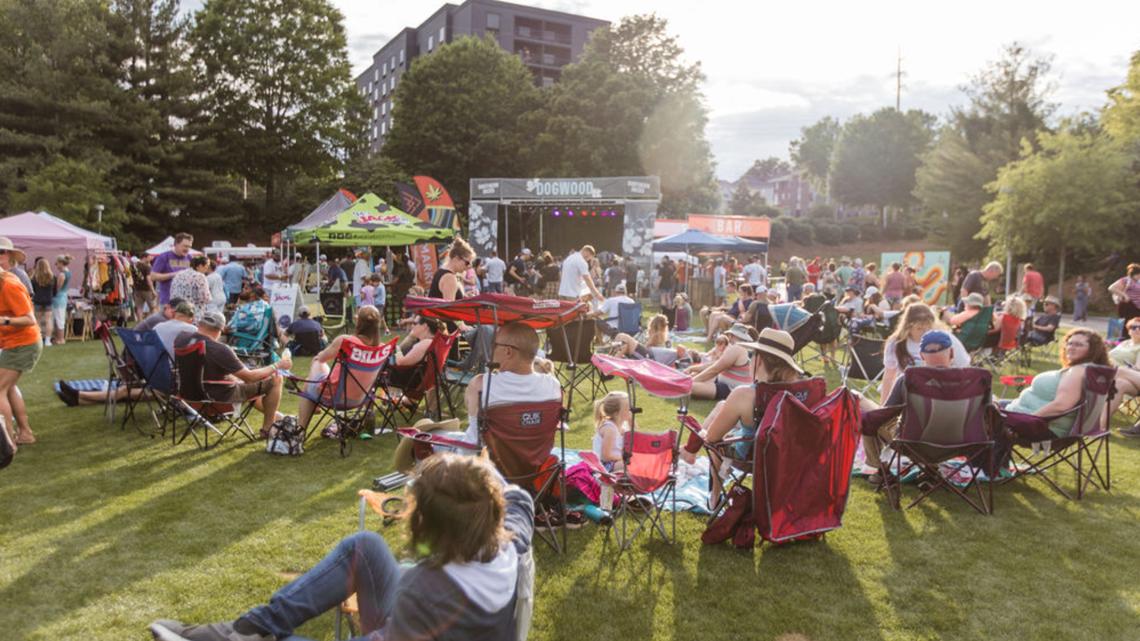 When is the 2024 Southern Skies Music Festival? - Vimarsana News