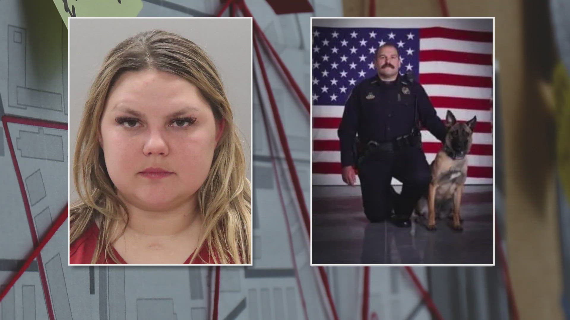 Police K-9s can bite through sheet metal, an expert says. KCSO bodycam recorded the March bite of Ashley Gragg.