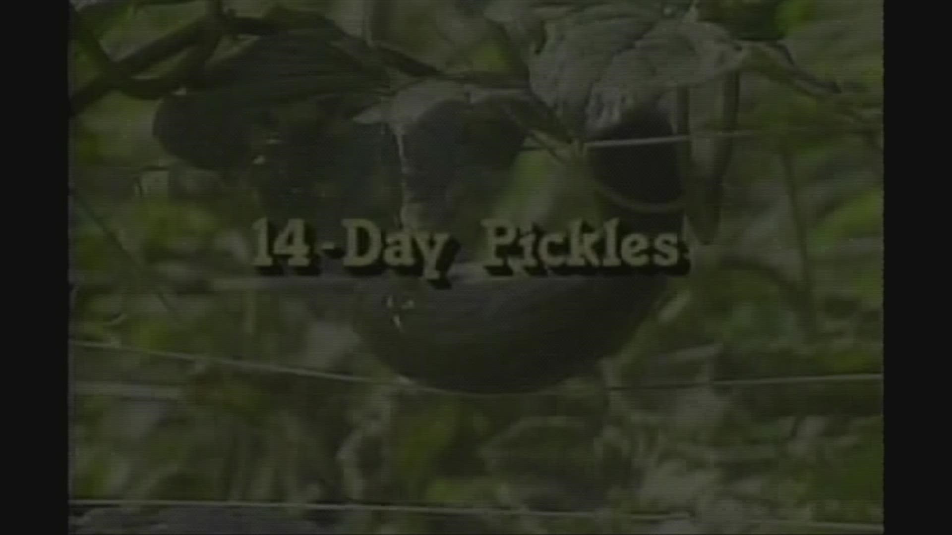 WBIR Channel 10's 'The Heartland Series' hosted by Bill Landry aired from 1984 to 2009. We hope you enjoy these captivating windows into East Tennessee history.