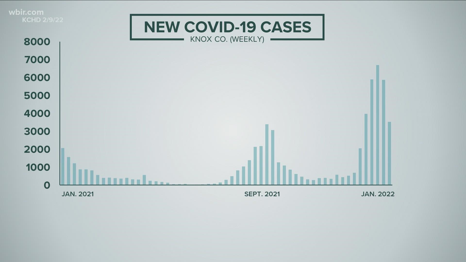 COVID-19 active cases in Knox County sharply fall as new omicron infections  wane