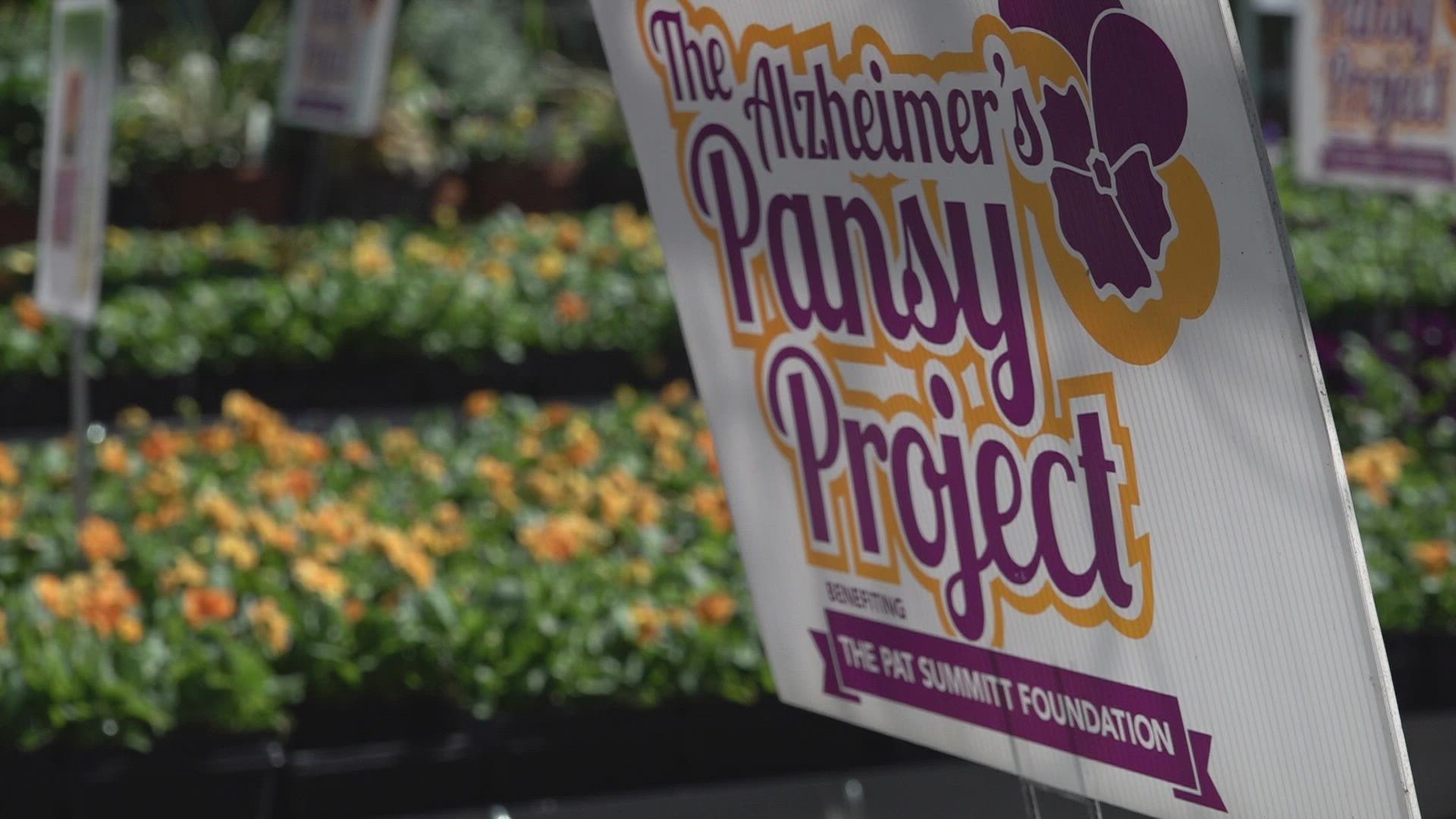 The Pansy Project kicked off on Thursday. Throughout the fall, people can by orange and purple pansies as a symbol of support for people affected by Alzheimer's.