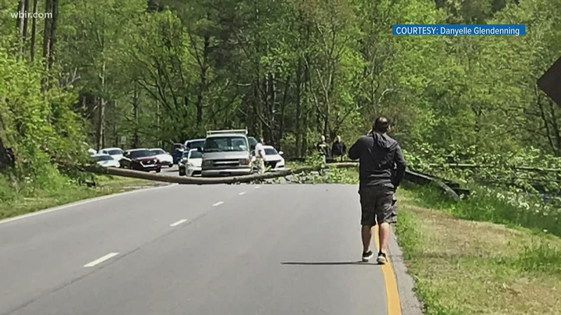 The family was heading back home on the spur after checking on their cabins when a tree hanging over the road fell.