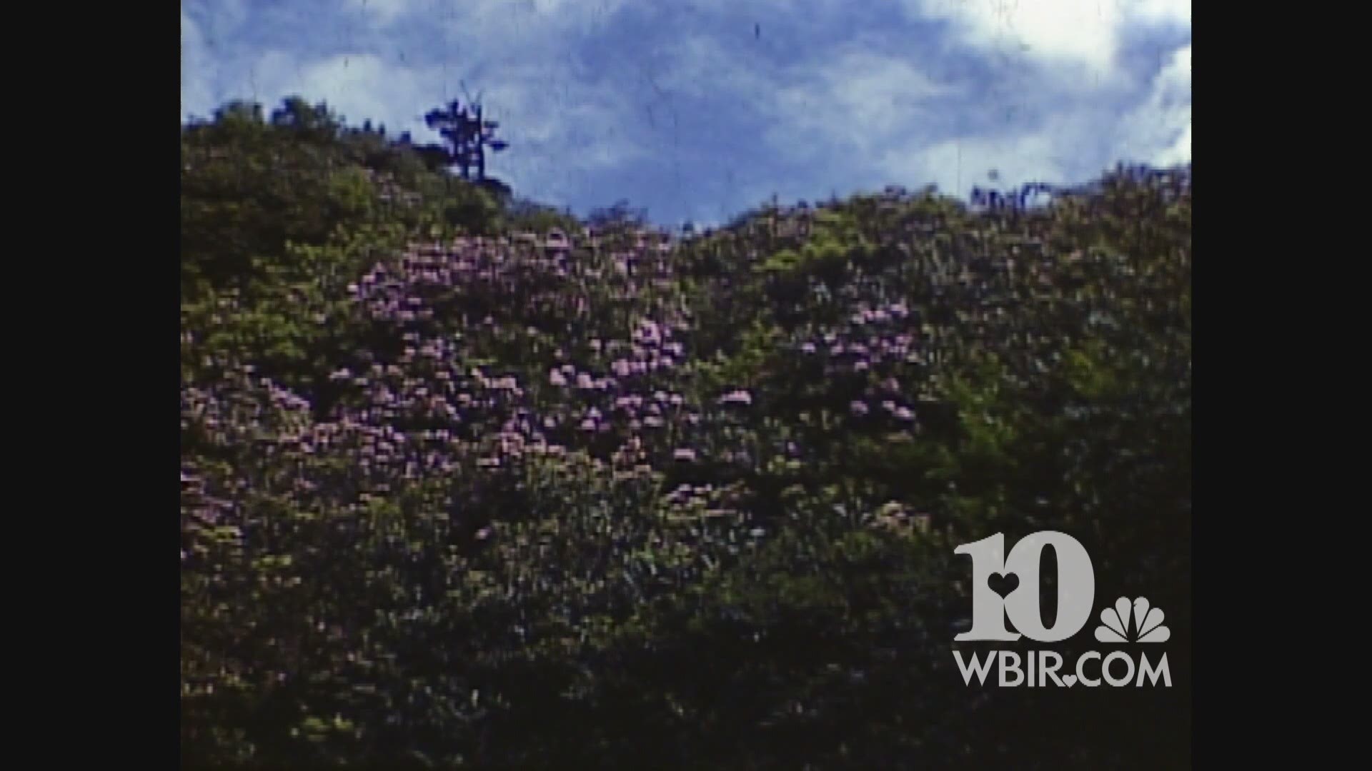 In this Hunt for History extra, see the full lost-and-found silent footage of the Great Smoky Mountains shot by Granville Hunt in 1939.