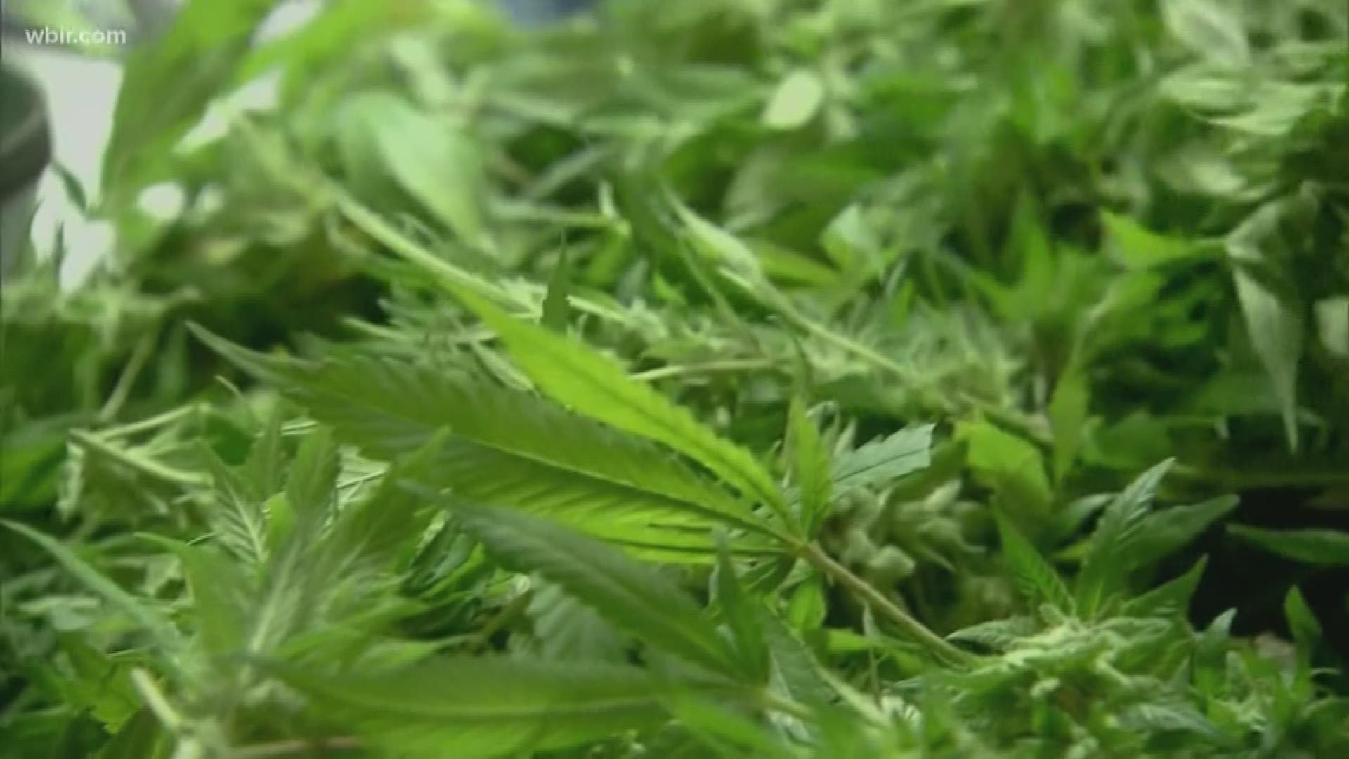 Republican state lawmakers filed a bill that would legalize all forms of medical marijuana across the state.