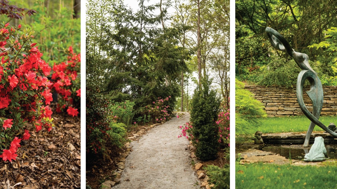 Featured Dogwood Arts gardens to be open for visitors over the weekend - Vimarsana News