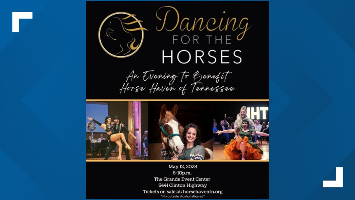 WBIR's Chrissa Loukas earns award and top spot at 'Dancing for the Horses 2023' - Vimarsana News