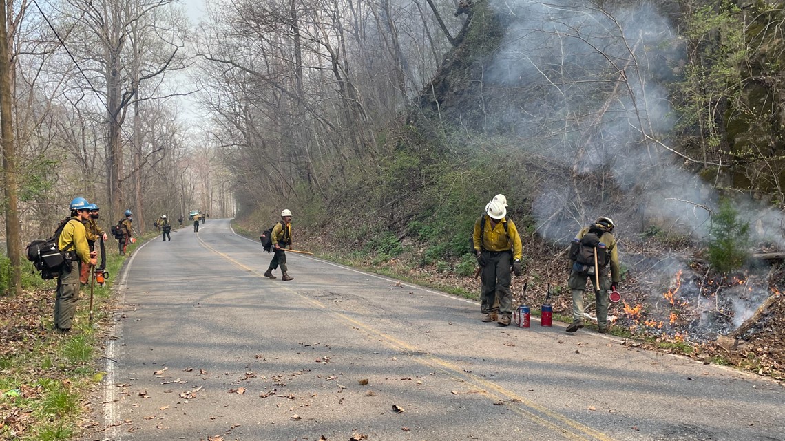 multiple agencies on scene of wildfire in Cocke Co. | wbir.com