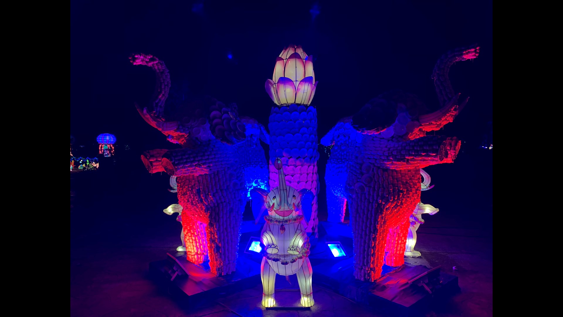 Zoo Lights event returns to Zoo Knoxville on Friday, Nov. 25