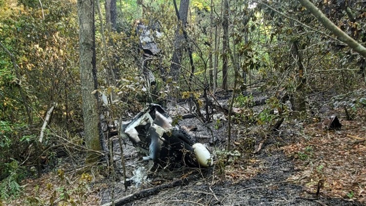 Knoxville pilot killed after plane crashed near Rockwood Airport | wbir.com