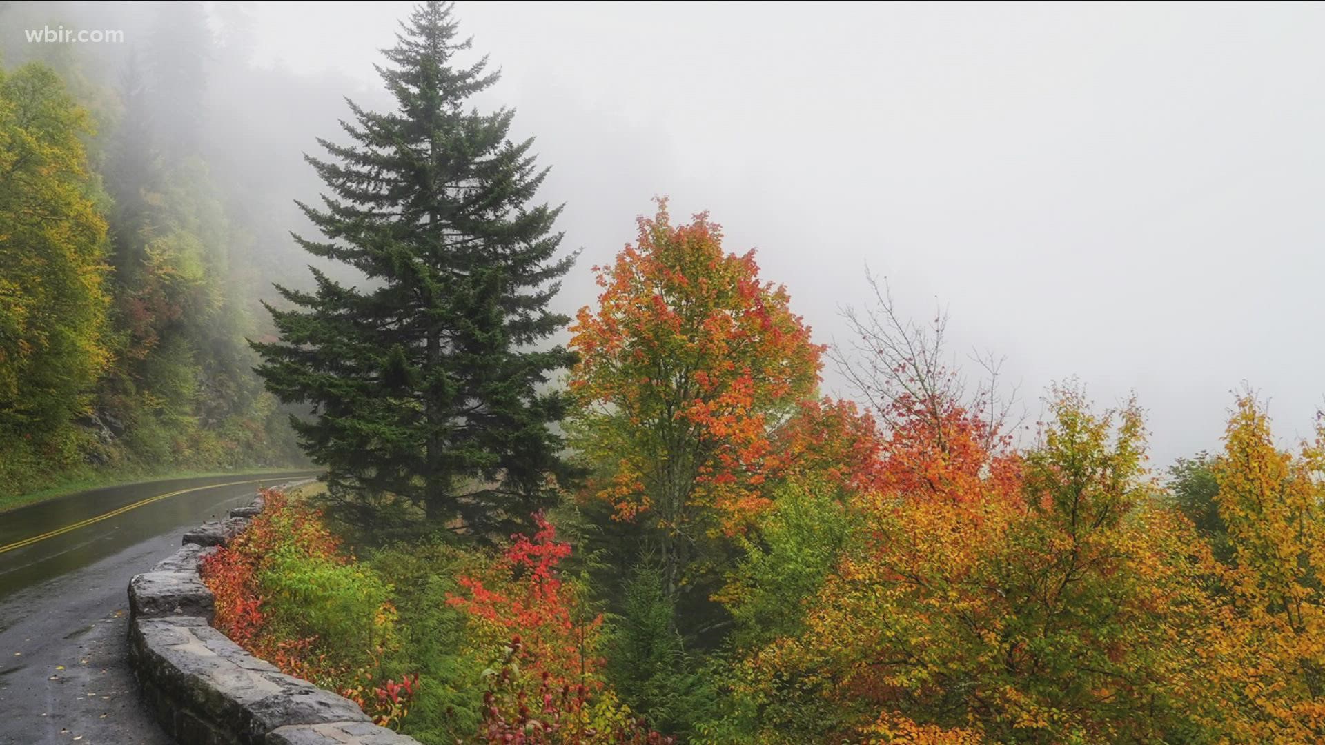 Gatlinburg shared the fall colors on its Facebook page.