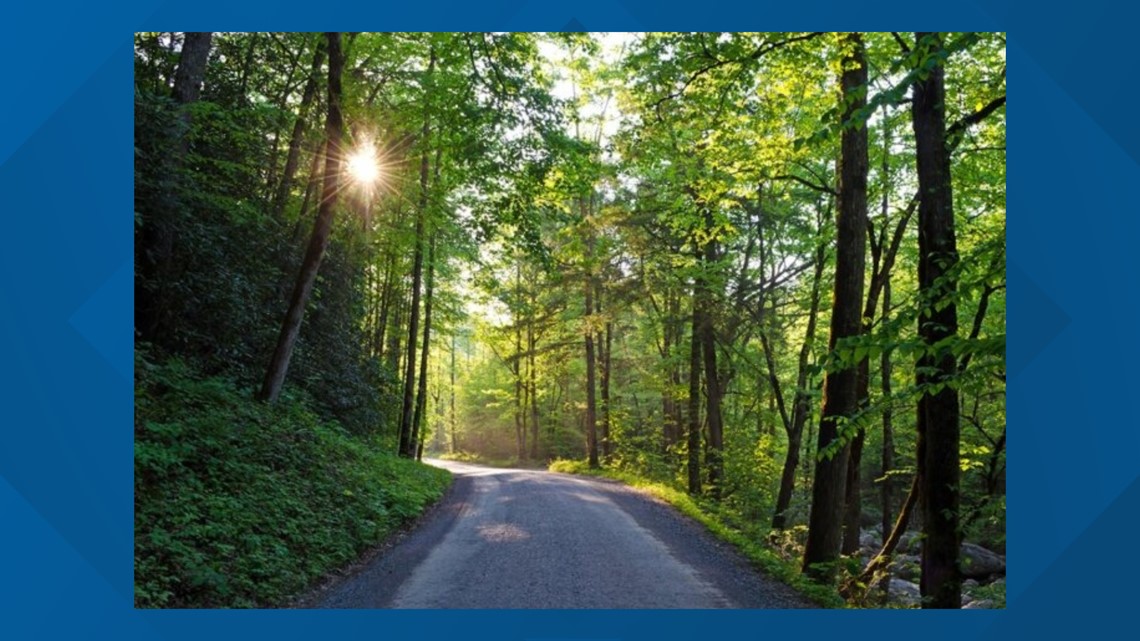 Parson Branch Road reopens after 2016 closure, GSMNP says - Vimarsana News