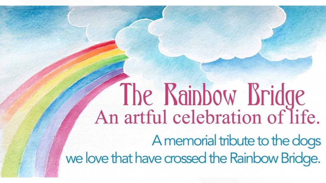 Small Breed Rescue of East TN to celebrate life of pets who crossed the Rainbow Bridge - Vimarsana News