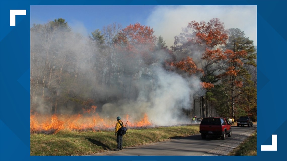 Prescribed burns planned in Cades Cove area starting Feb. 13 - Vimarsana News