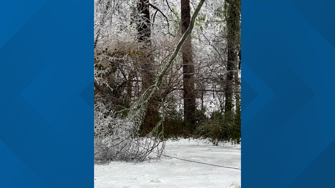 NES: Nashville power outages climb as ice causes downed trees