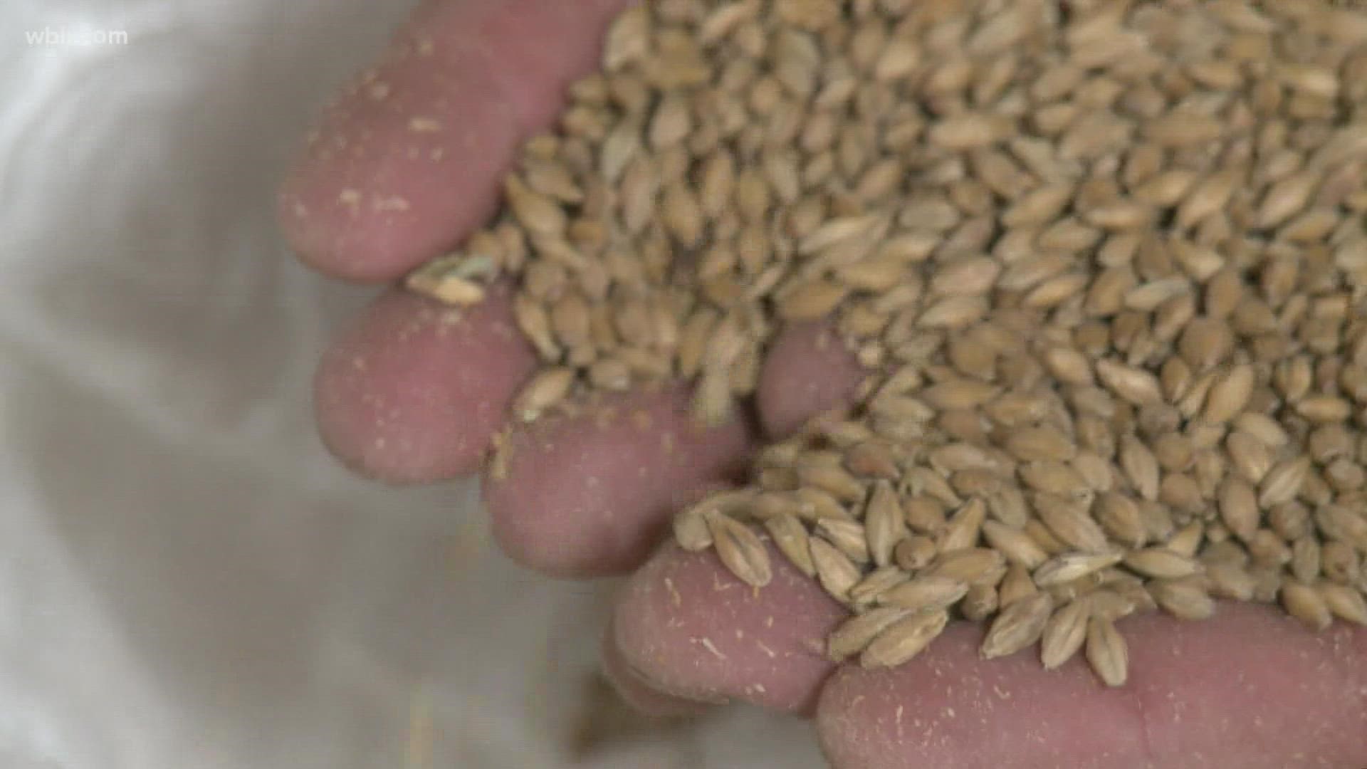 Breweries in East Tennessee said Ukraine is one of the world's top five suppliers of barley. After the invasion, prices started to rise for it.